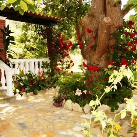 Dom wakacyjny Messavrisi Halikounas