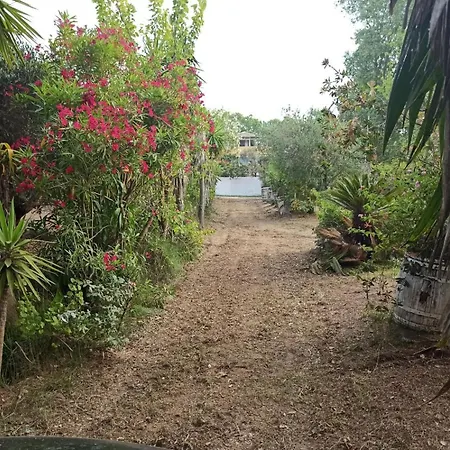 Dom wakacyjny Messavrisi