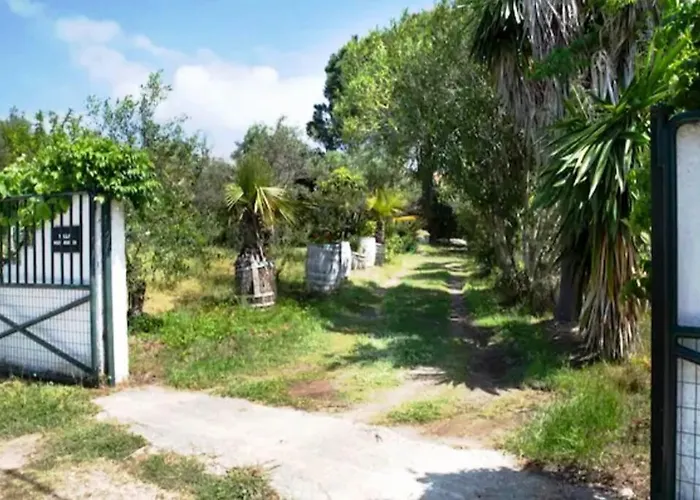 Messavrisi By Mps Halikounas