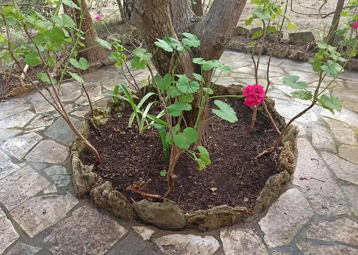 Messavrisi By Mps Halikounas