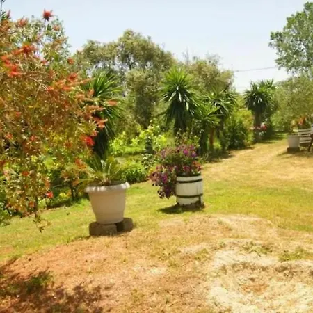 Messavrisi Halikounas